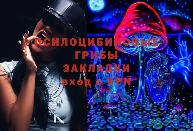 где можно купить   Алупка  blacksprut как войти  Галлюциногенные грибы Psilocybine cubensis 